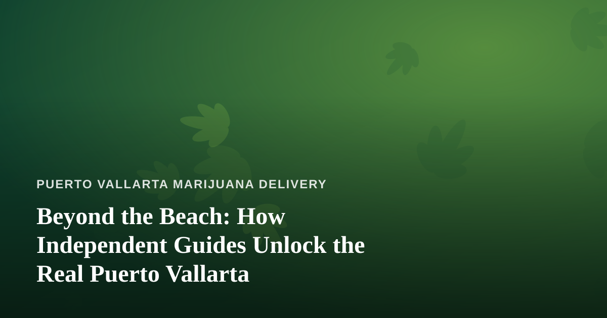 Beyond the Beach: How Independent Guides Unlock the Real Puerto Vallarta
