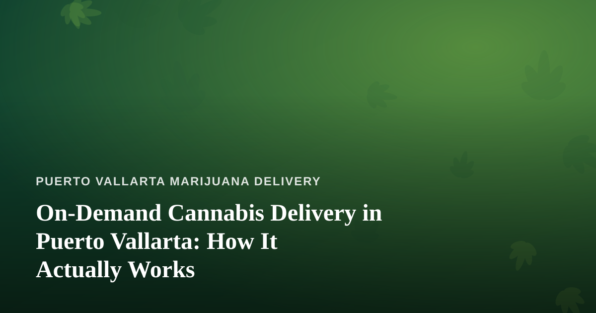 On-Demand Cannabis Delivery in Puerto Vallarta: How It Actually Works