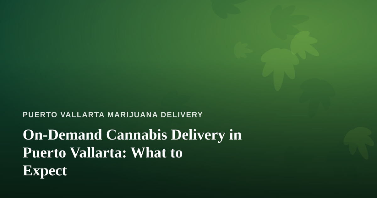On-Demand Cannabis Delivery in Puerto Vallarta: What to Expect