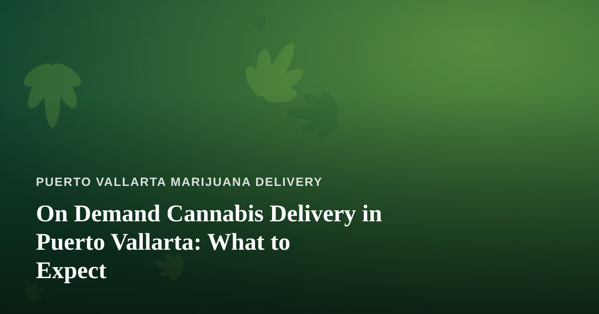On Demand Cannabis Delivery in Puerto Vallarta: What to Expect