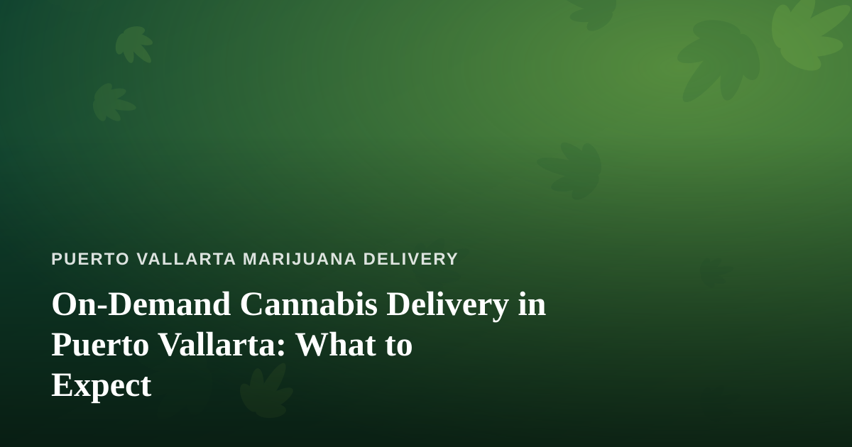On-Demand Cannabis Delivery in Puerto Vallarta: What to Expect