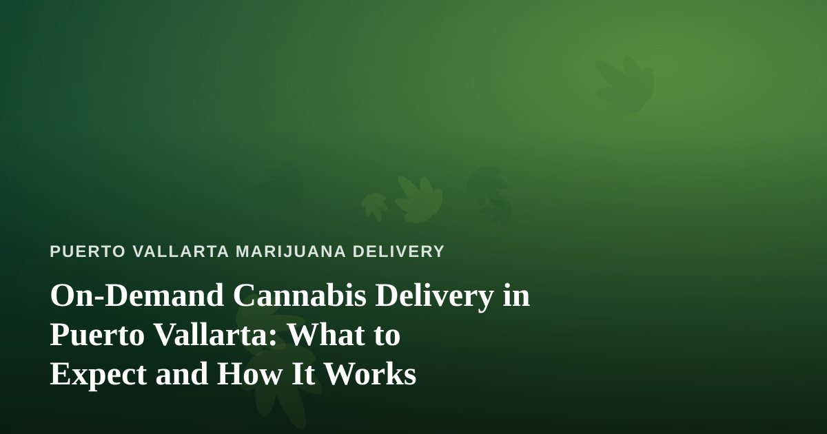 On-Demand Cannabis Delivery in Puerto Vallarta: What to Expect and How It Works